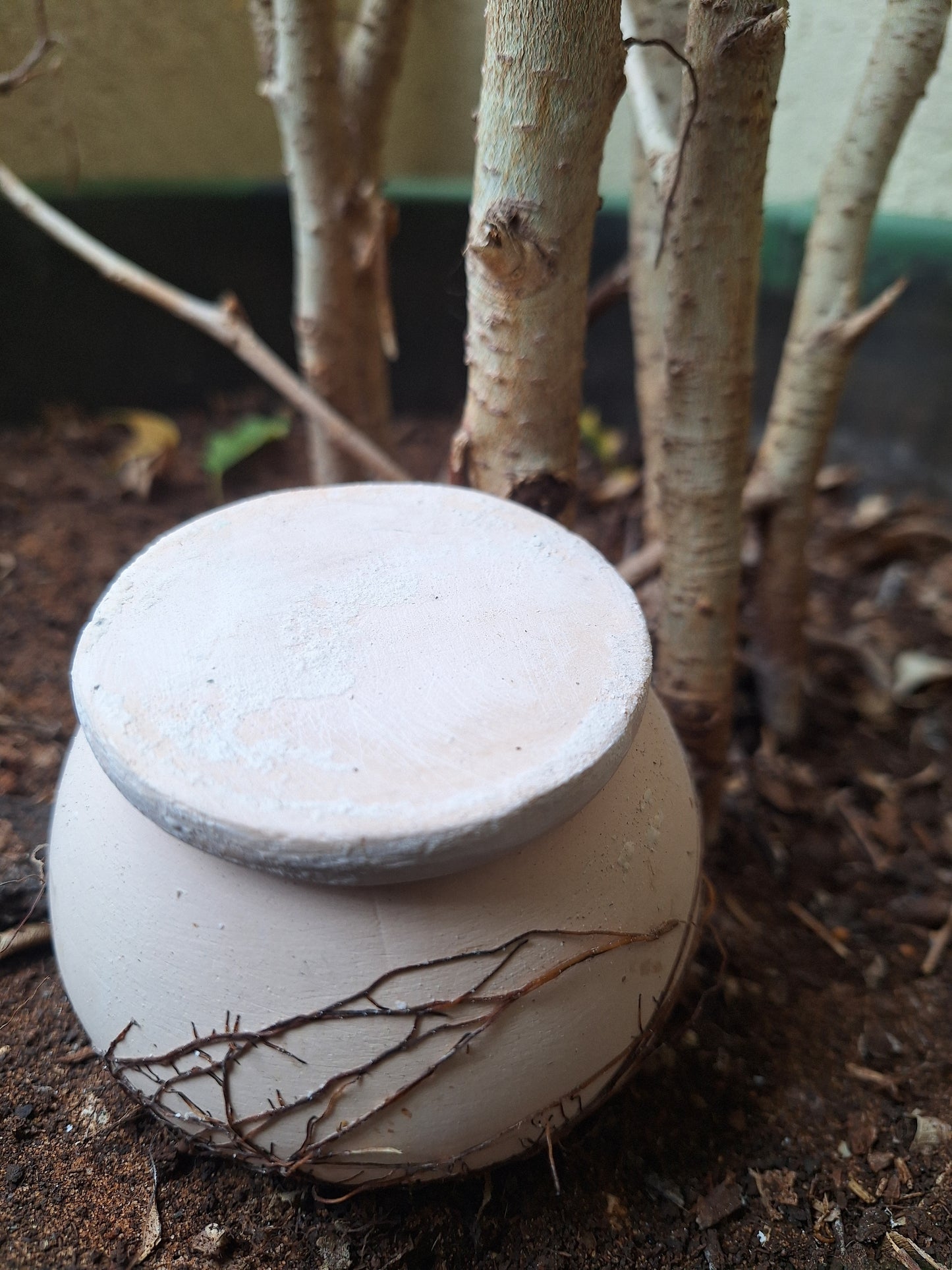 Medium oya - perfect for pots & planters