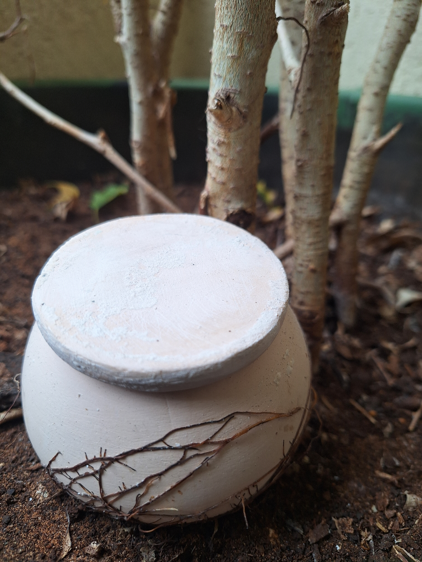 Medium oya - perfect for pots & planters