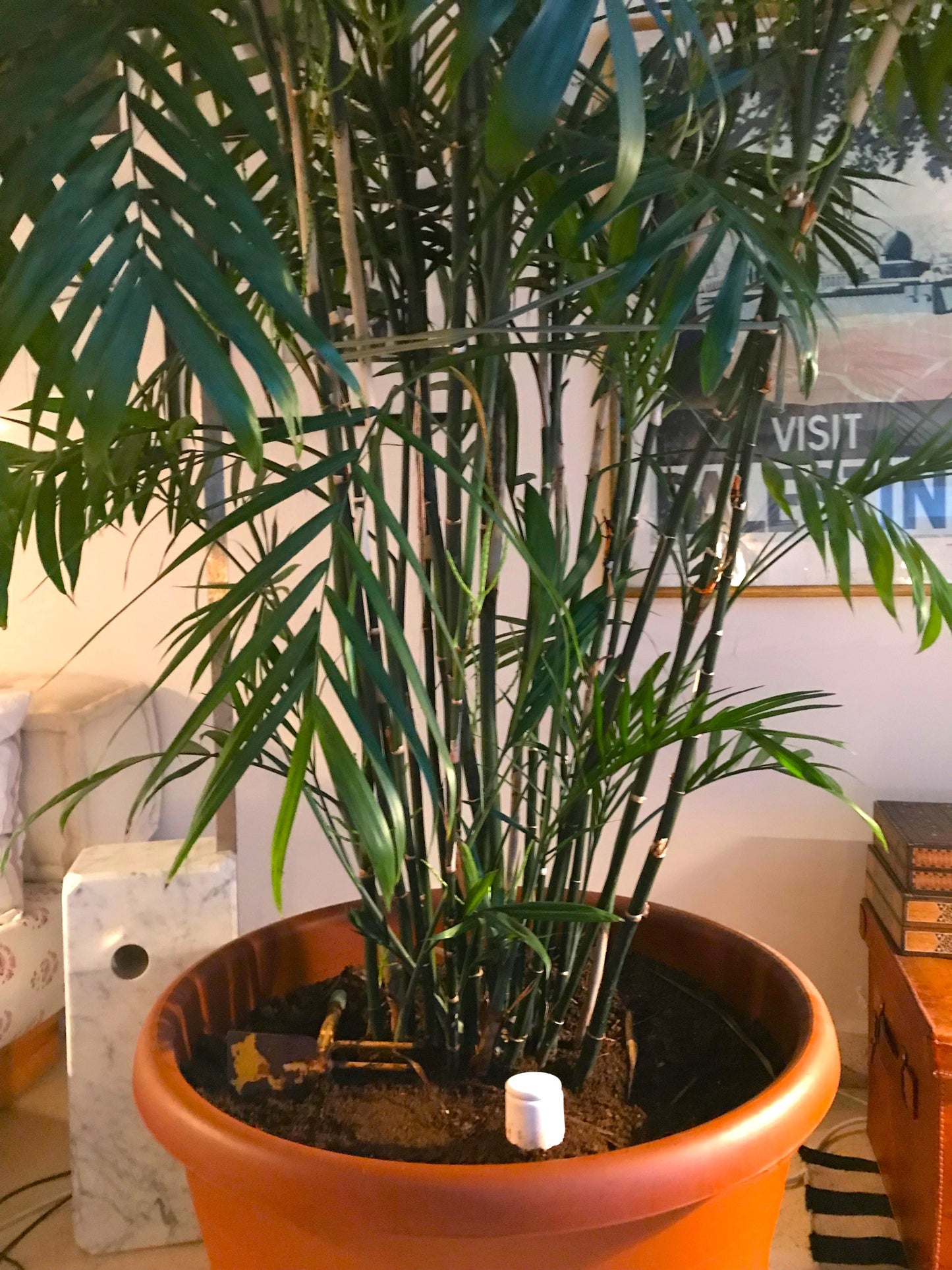 Large oya - ideal for large plants & gardens