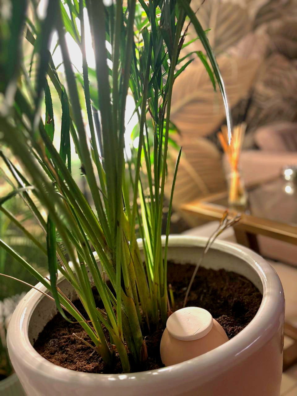 Medium oya - perfect for pots & planters