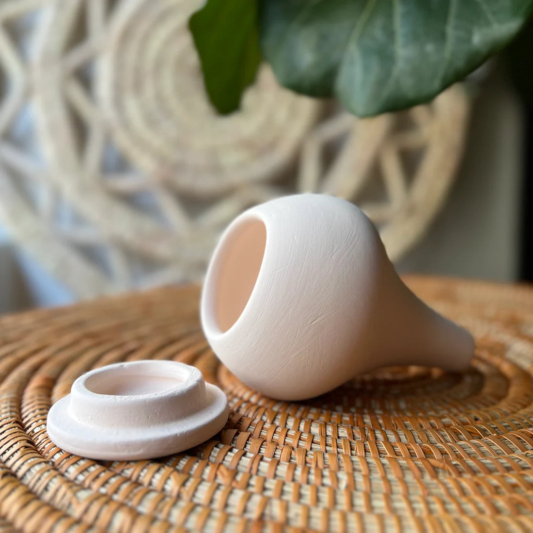 Small oya - best for small plants