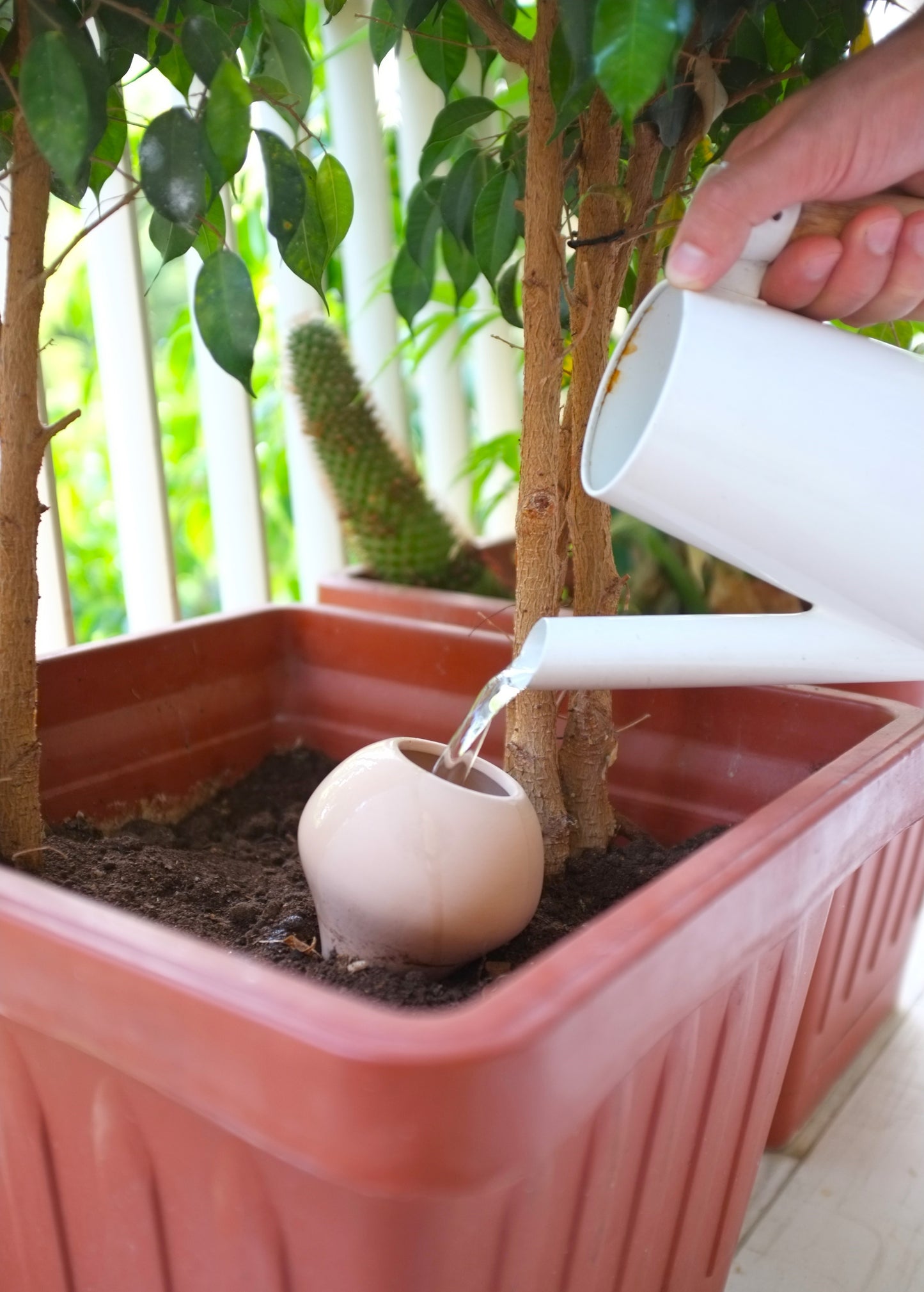 Medium oya - perfect for pots & planters